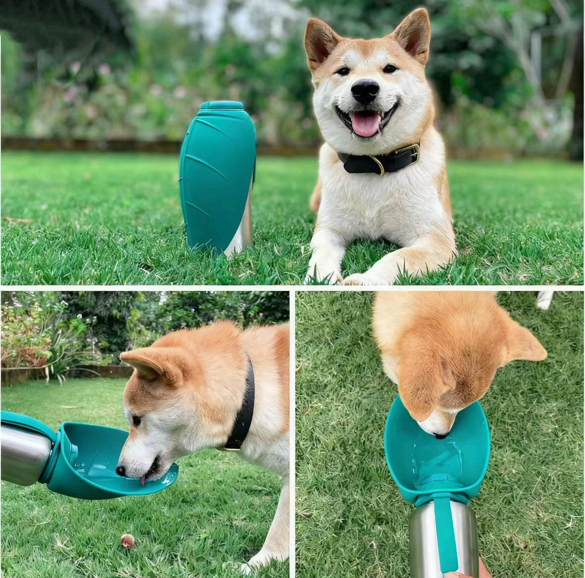 Portable Pet Water Bottle - Large